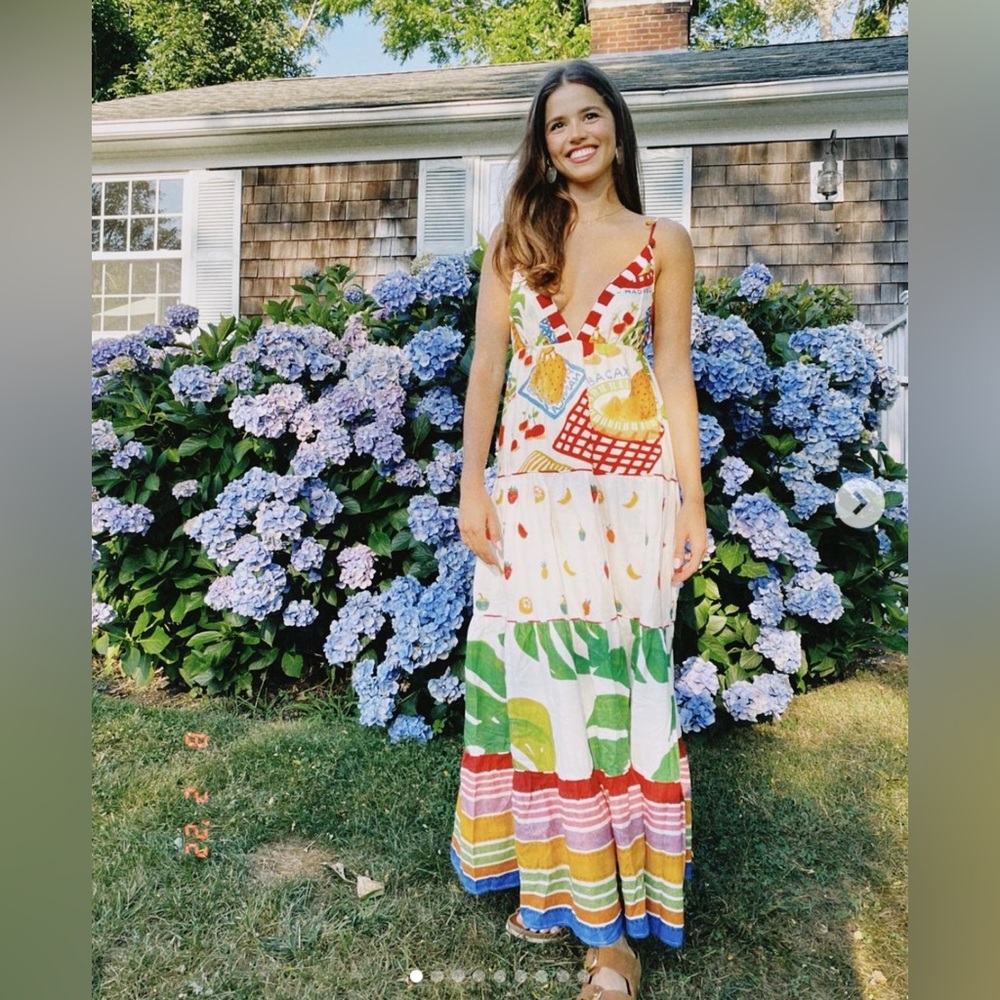 NWT Farm Rio Mixed Picnic V Neck Maxi Dress - Picture 1 of 10